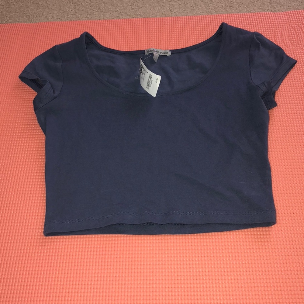 Crop top grey blue NWT